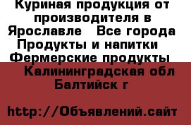 Куриная продукция от производителя в Ярославле - Все города Продукты и напитки » Фермерские продукты   . Калининградская обл.,Балтийск г.